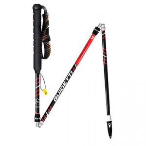 r205211-trail-stick-guidetti-silver-black-red