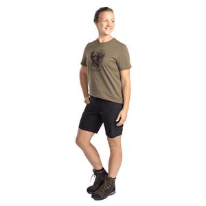 product/p/i/pinewood_1-31110-400_3.jpg