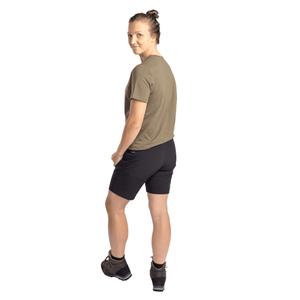 product/p/i/pinewood_1-31110-400_4.jpg
