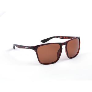 shmjdtsc-sunglasses-shimano-tortoiseshell-copper-one-size